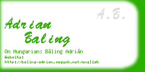 adrian baling business card